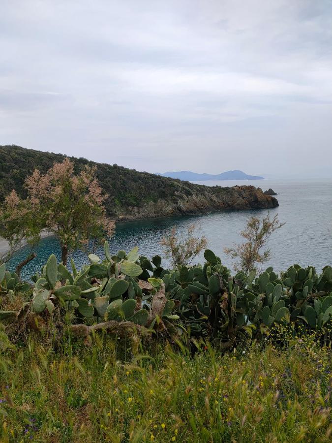 Domus Tilla Piombino Exteriör bild